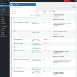 Page screenshot: WP Control  → Cron viewer
