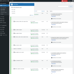 Page screenshot: WP Control  → Cron viewer