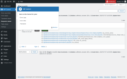 Page screenshot: WP Control  → Requests viewer