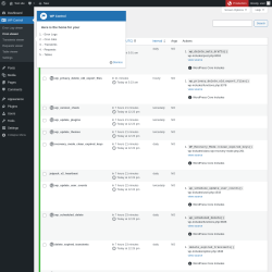 Page screenshot: WP Control  → Cron viewer