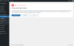 Page screenshot: Page Indexer