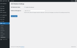 Page screenshot: Settings → 404 Redirect