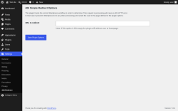 Page screenshot: Settings &rarr; 404 Redirect
