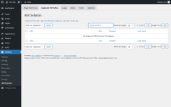 Page screenshot: Settings &rarr; 404 Solution &rarr; Captured 404 URLs