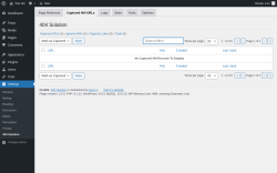 Page screenshot: Settings &rarr; 404 Solution &rarr; Captured 404 URLs