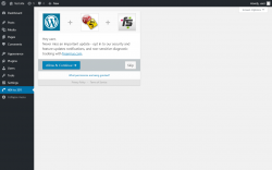 Page screenshot: 404 Error Logs &lsaquo; Test site &mdash; WordPress