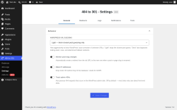 Page screenshot: 404 to 301 &rarr; Settings