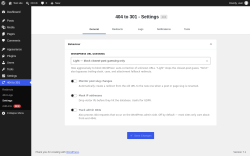Page screenshot: 404 to 301 &rarr; Settings