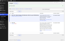 Page screenshot: Plugins &lsaquo; Test site &mdash; WordPress