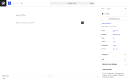 Page screenshot: Add Post &lsaquo; Test site &mdash; WordPress