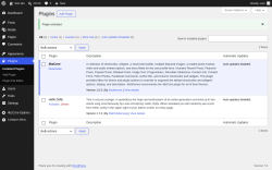 Page screenshot: Plugins &lsaquo; Test site &mdash; WordPress