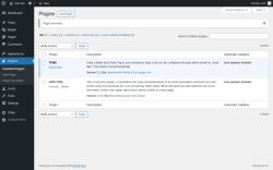 Page screenshot: Plugins &lsaquo; Test site &mdash; WordPress