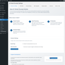 Page screenshot: Settings → AI Smart Excerpt
