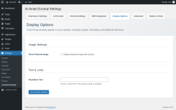 Page screenshot: Settings → AI Smart Excerpt → 
                    Display Options                