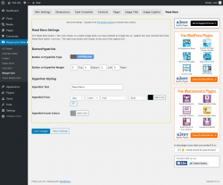 Page screenshot: Responsive Slider &rarr; Widget Skin &rarr; Read More
