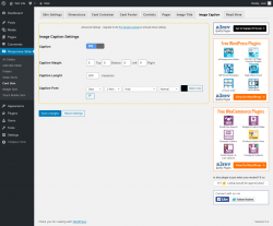 Page screenshot: Responsive Slider &rarr; Card Skin &rarr; Image Caption