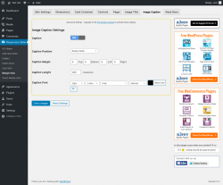 Page screenshot: Responsive Slider &rarr; Widget Skin &rarr; Image Caption