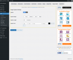 Page screenshot: Responsive Slider &rarr; Card Skin &rarr; Image Caption