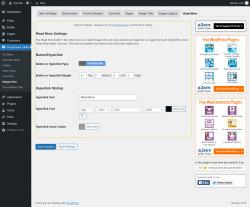 Page screenshot: Responsive Slider &rarr; Widget Skin &rarr; Read More
