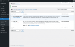 Page screenshot: Plugins &lsaquo; Test site &mdash; WordPress