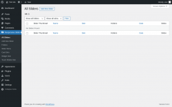 Page screenshot: Responsive Slider