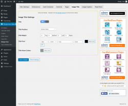 Page screenshot: Responsive Slider &rarr; Widget Skin &rarr; Image Title