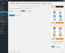 Page screenshot: Responsive Slider &rarr; Widget Skin