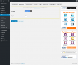 Page screenshot: Responsive Slider &rarr; Widget Skin &rarr; Dimensions