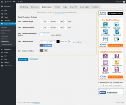 Page screenshot: Responsive Slider &rarr; Widget Skin &rarr; Card Container
