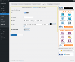 Page screenshot: Responsive Slider &rarr; Widget Skin &rarr; Image Title