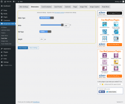 Page screenshot: Responsive Slider &rarr; Card Skin &rarr; Dimensions