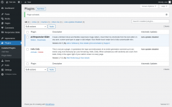 Page screenshot: Plugins &lsaquo; Test site &mdash; WordPress
