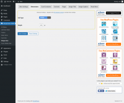Page screenshot: Responsive Slider &rarr; Widget Skin &rarr; Dimensions