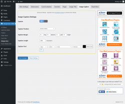 Page screenshot: Responsive Slider &rarr; Widget Skin &rarr; Image Caption