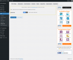 Page screenshot: Responsive Slider &rarr; Widget Skin
