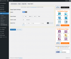 Page screenshot: Responsive Slider &rarr; Touch Mobile Skin &rarr; Image Caption