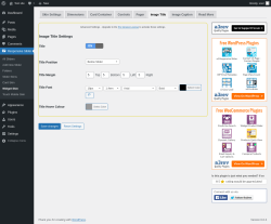 Page screenshot: Responsive Slider &rarr; Widget Skin &rarr; Image Title