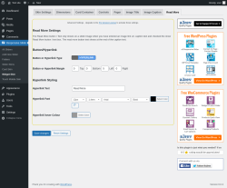 Page screenshot: Responsive Slider &rarr; Widget Skin &rarr; Read More