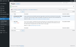 Page screenshot: Plugins &lsaquo; Test site &mdash; WordPress