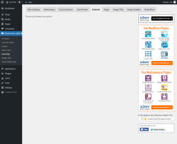 Page screenshot: Responsive Slider &rarr; Card Skin &rarr; Controls