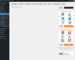 Page screenshot: Responsive Slider &rarr; Card Skin &rarr; Image Title
