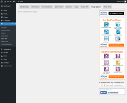 Page screenshot: Responsive Slider &rarr; Card Skin &rarr; Image Caption