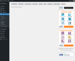 Page screenshot: Responsive Slider &rarr; Card Skin &rarr; Read More