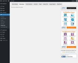 Page screenshot: Responsive Slider &rarr; Widget Skin &rarr; Dimensions
