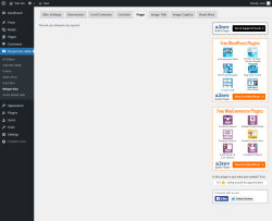 Page screenshot: Responsive Slider &rarr; Widget Skin &rarr; Pager