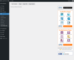 Page screenshot: Responsive Slider &rarr; Touch Mobile Skin