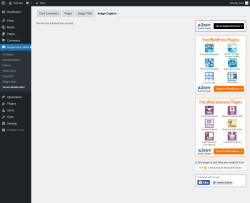 Page screenshot: Responsive Slider &rarr; Touch Mobile Skin &rarr; Image Caption