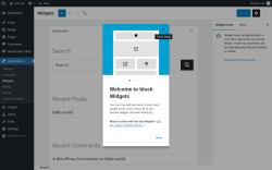 Page screenshot: Widgets &lsaquo; Test site &mdash; WordPress