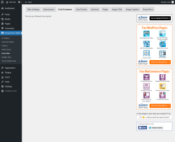 Page screenshot: Responsive Slider &rarr; Card Skin &rarr; Card Container