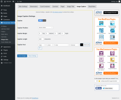 Page screenshot: Responsive Slider &rarr; Widget Skin &rarr; Image Caption
